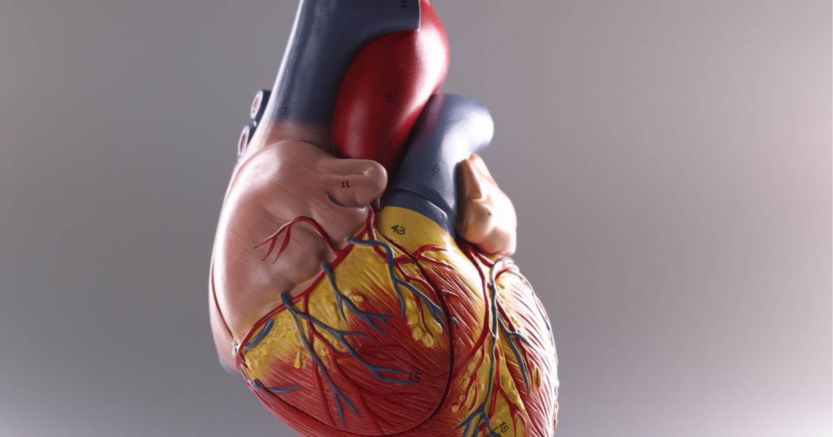 Αριστερός Καθετηριασμός